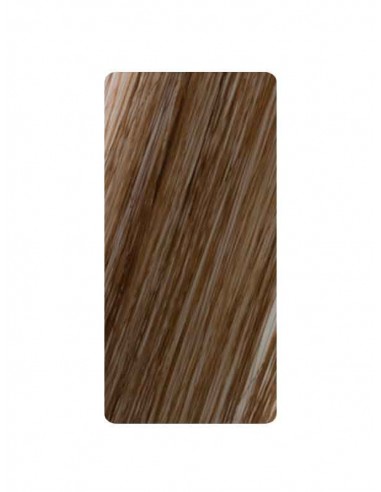 Extensions Brown 2
